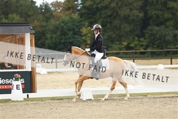 181894_mtp_03_R62_2545.JPG