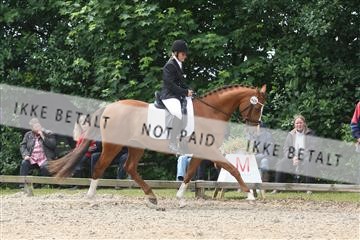 135518_ms_01_IMG_1390.JPG
