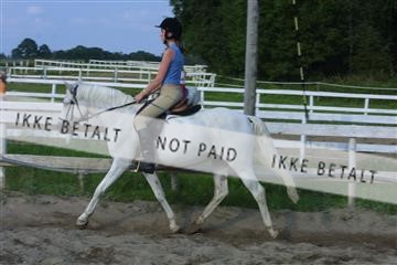 110-1043_IMG.JPG