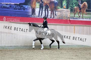 181887_mtp_04_R62_8847.JPG
