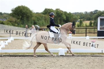181894_mtp_02_R62_1661.JPG