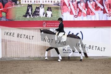 181957_avh_01_4100.JPG