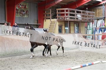 181868_mtp_03_R62_6055.JPG