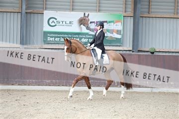 171210_mtp_01_3M5A6112.JPG