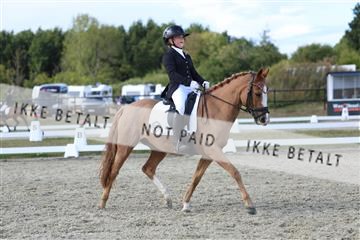181894_mtp_05_R62_5077.JPG