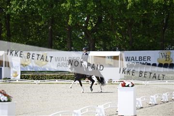 181449_kbb_02_6II0308.JPG