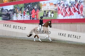 181887_mtp_02_R62_7459.JPG