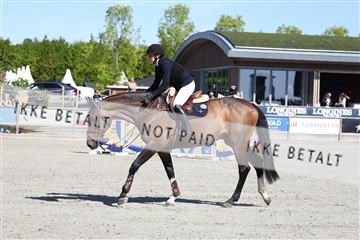 181436_avh_02_3500.JPG