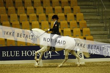 144963_ms_01__MG_9873.JPG