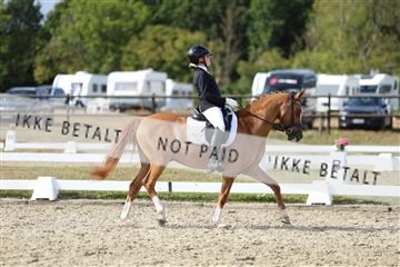 181894_mtp_05_R62_5018.JPG