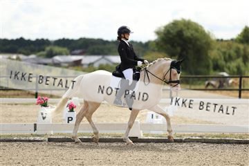 181894_mtp_02_R62_1066.JPG