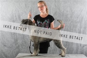 129608_le_ 02_0392.JPG