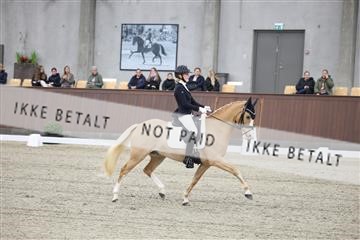 178264_kbb_01_R6II9861.JPG