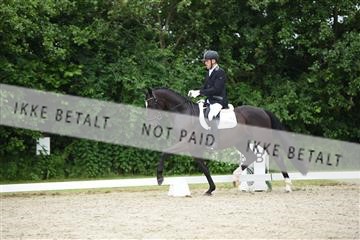 162958_mep_01_DSC_6170.JPG