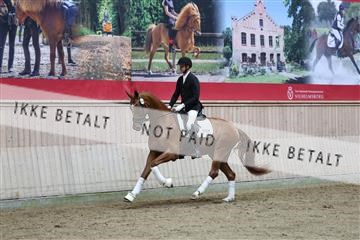 181887_mtp_02_R62_7928.JPG
