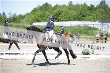 181449_kbb_01_6II9037.JPG