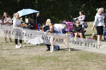 181848_kar_01__62_4455.JPG