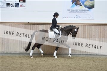 160111_nn_01__ESK1689.JPG