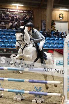 175934_avh_02_7326.JPG