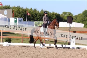 181449_bc_01R62_6480.JPG