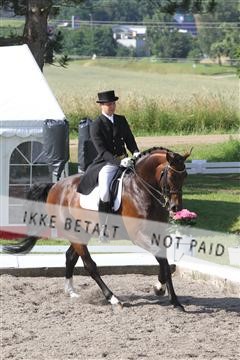 135676_sg_01_IMG_7558.JPG