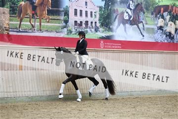 181887_mtp_04_R62_9253.JPG