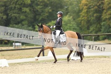 181894_mtp_04_R62_3420.JPG