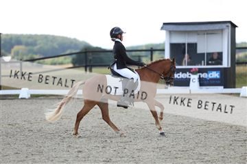 181894_mtp_05_R62_4307.JPG