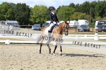 181894_mtp_05_R62_4629.JPG