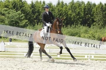 172028_rhj_01_J7R0028.JPG