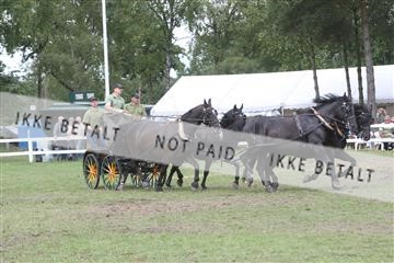 5925_ma_05_IMG_1255.JPG