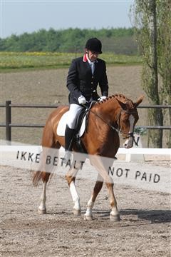 135086_sg_01_IMG_0032.JPG