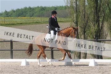 135086_sg_01_IMG_0023.JPG