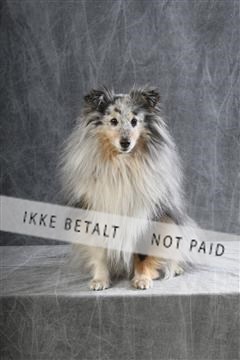 129608_le_ 01_0589.JPG