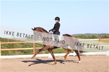 181449_bc_01R62_6402.JPG