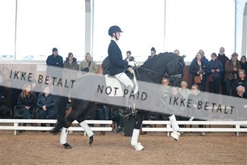 179022_kbb_01_R6II2593.JPG