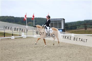 181894_mtp_04_R62_3748.JPG