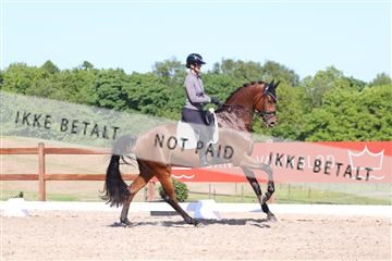 181449_bc_01R62_6101.JPG