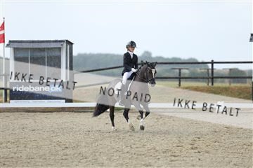 181894_mtp_05_R62_4355.JPG