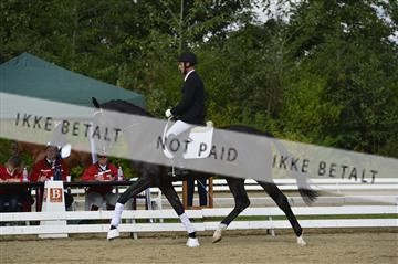 136195_abo_01__AB15501.JPG