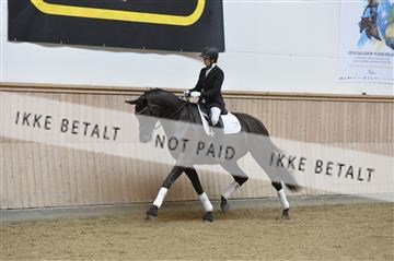 160111_nn_01__ESK1350.JPG