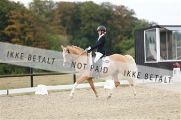 181894_mtp_04_R62_3371.JPG