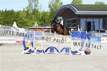 181436_avh_02_3806.JPG