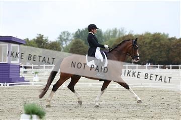 181923_mtp_03_R62_7900.JPG
