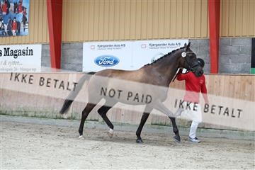 181868_mtp_02_R62_5352.JPG