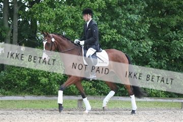 135518_ms_01_IMG_0798.JPG