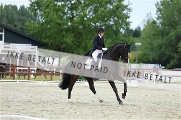 181923_mtp_01_R62_6861.JPG