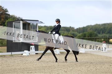 181894_mtp_04_R62_3274.JPG