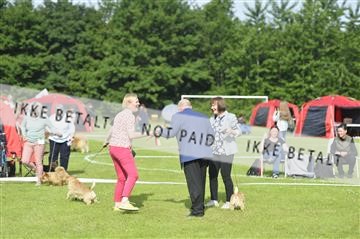 172109_bkn_01__D044752.JPG