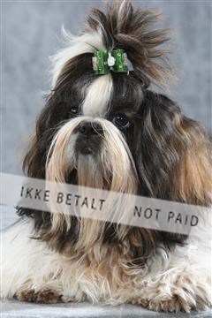 129608_le_ 01_0092.JPG